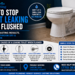 How to Stop Toilet Leaking When Flushed
